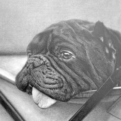 オーダーメイド サンプル 犬の絵 鉛筆画 絵画 ENPITSUYA 通販