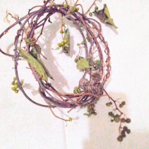 純粋自然のままツルウメモドキリース リース NATURAL CALM 通販