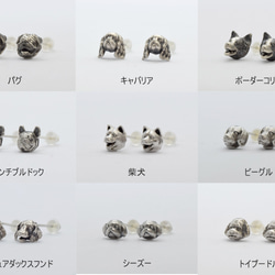 weekends 犬　くまモチーフ　ピアス10個セット　小ぶり weekends 犬 くまモチーフ ピアス10個セット 小ぶり