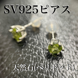 マイドッグリング 犬種ポメラニアン SV925 天然ダイヤ入り 指輪
