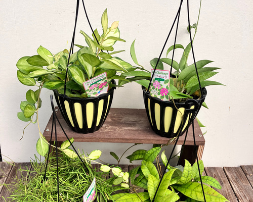 95926c372413a09482c0770d9250d6