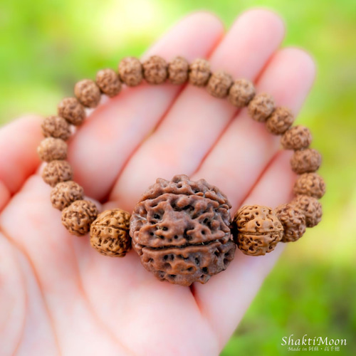 レア・希少！ネパール産・超特大5面（ムキ）×チクナルドラクシャ！心の