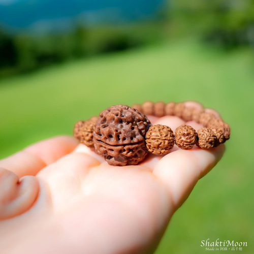 レア・希少！ネパール産・超特大5面（ムキ）×チクナルドラクシャ！心の