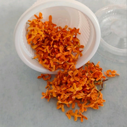 ❤ドライフラワー❤ 花びら【金木犀ーキンモクセイ】 ドライフラワー