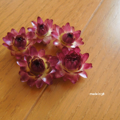 ドライフラワー 貝細工（ヘリクリサム） 5個 ミニ キャンドル リース  