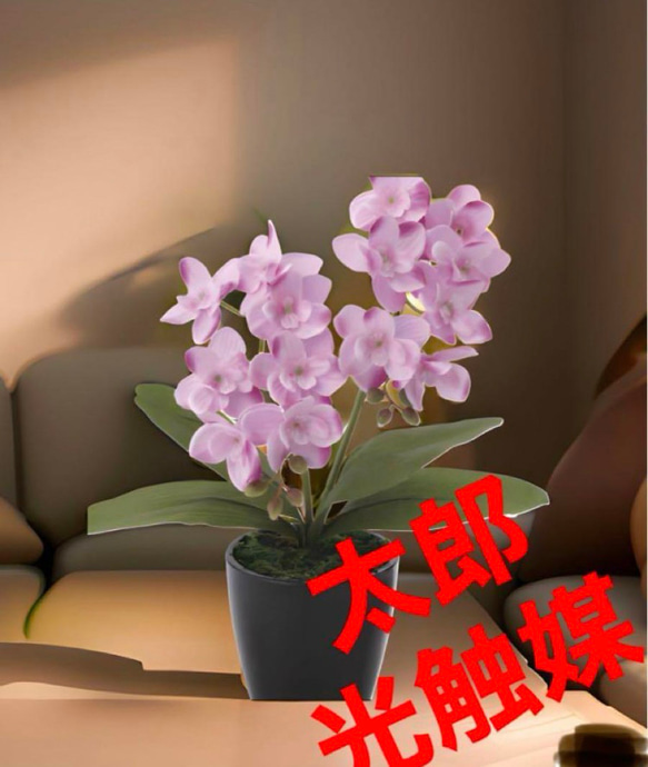 光触媒 人工観葉植物 ウォールグリーン フェイクグリーン ショウナン