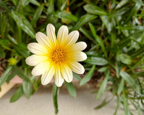 46e830ceaaf32708da49d377de3b62