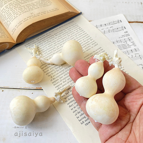 2024年秋冬新商品 】 豆ひょうたん オフホワイト 2個 ＜ ドライ