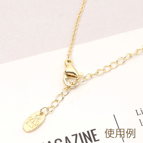 メタルプレートハラコチャーム2点setෆ‪② M13814-2 12個 メタルタグプレート 金属タグプレート メタル