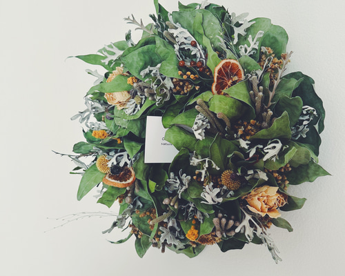 レモンユーカリリース 再販】実付きのユーカリ(レモンユーカリ)のリース〔L〕 リース SOPO