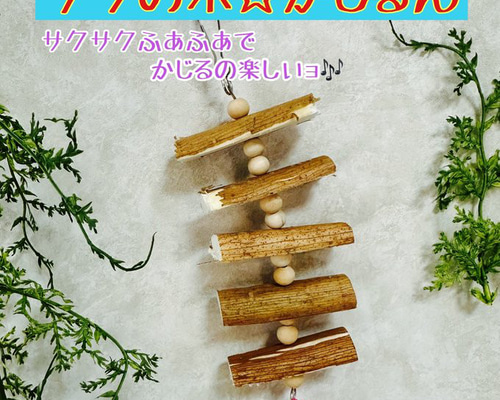 コロンとした木の玩具みたいなゾウムシ 楽天市場】夢工房ももたろう木のおもちゃ ひっつきむし