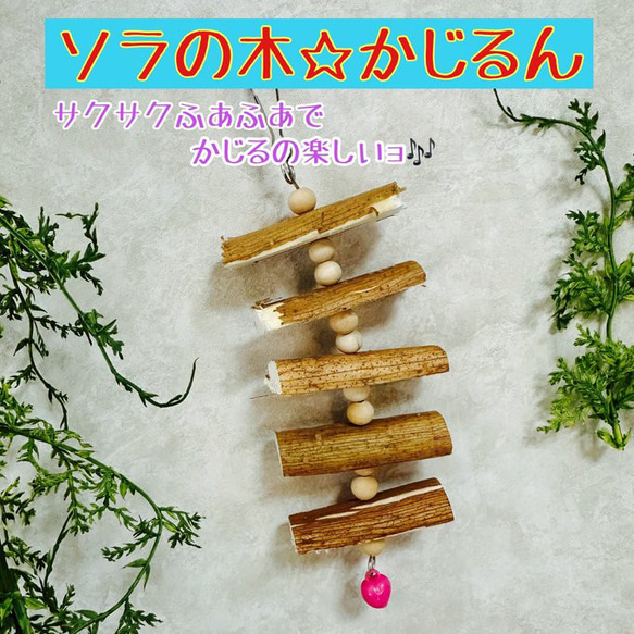 小鳥のおもちゃ】ソラの木かじるん おもちゃ・ペット小物 すん