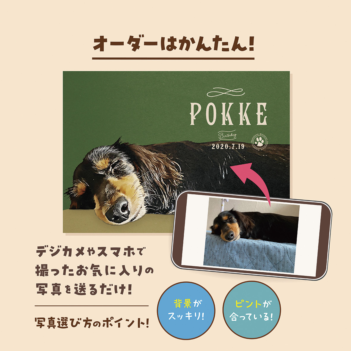 カートネームプレート〈トランプstyle〉★犬猫 うちの子 ペット ★オーダーメイド ★取付フック付き ★写真入り