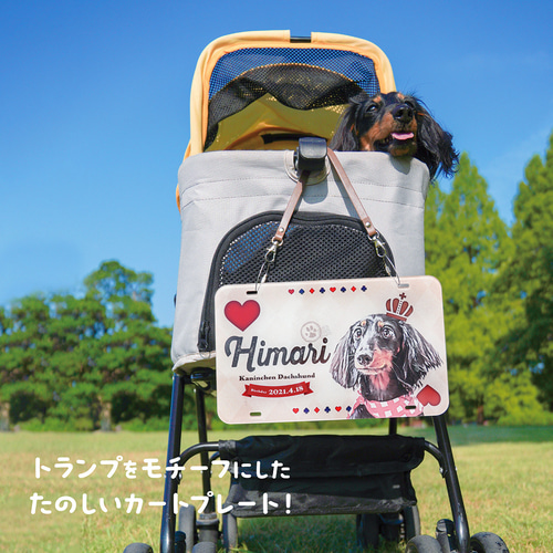 カートネームプレート〈トランプstyle〉☆犬猫 うちの子 ペット 