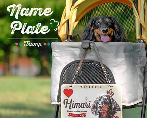 afe143346e808435d44e8e9724f238