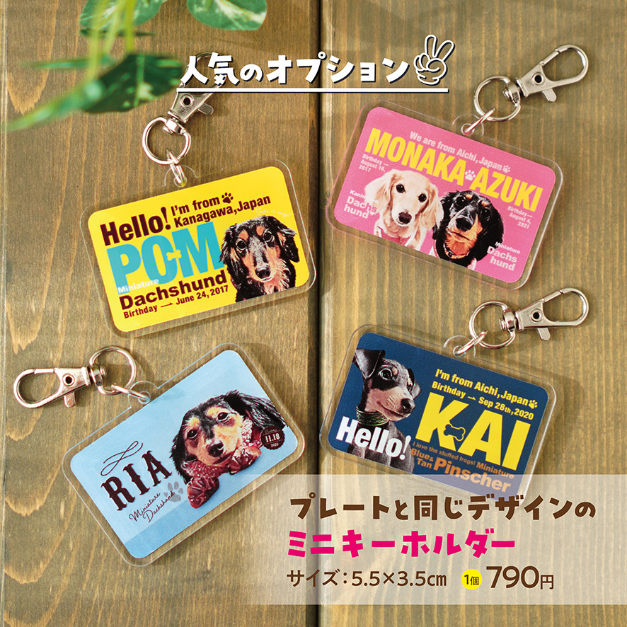 カートネームプレート〈トランプstyle〉★犬猫 うちの子 ペット ★オーダーメイド ★取付フック付き ★写真入り