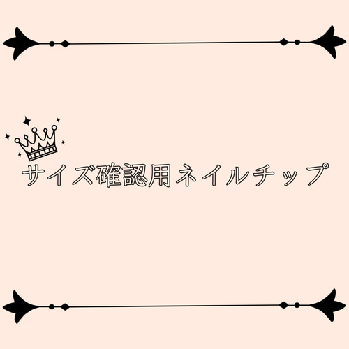 サンプルチップ（サイズ確認用） ネイルチップ（つけ爪） reine_nail 