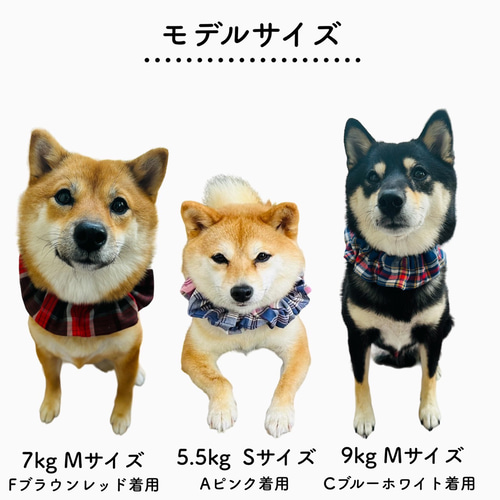 幅広シュシュ、スチームパンク(カーキ)わんちゃん猫ちゃん用 首輪