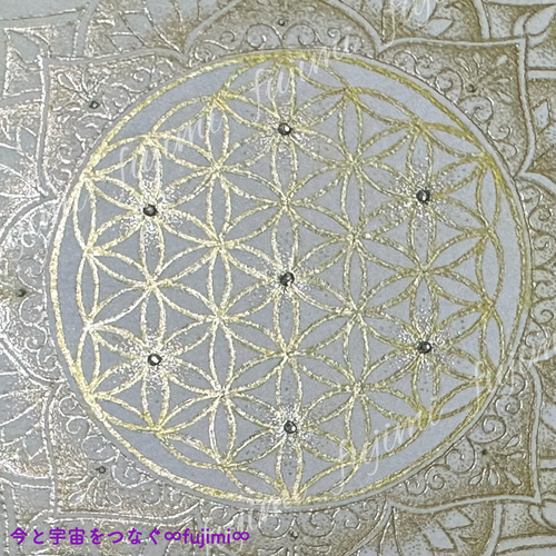 宇宙の真理☆神聖幾何学模様フラワーオブライフ F3キャンバス 高波動アート 宇宙の真理☆神聖幾何学模様フラワーオブライフ F3キャンバス 高