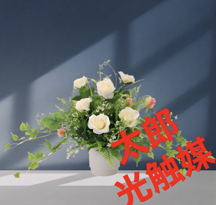 光触媒　人工観葉植物　ウォールグリーン　フェイクグリーン　パスカリ