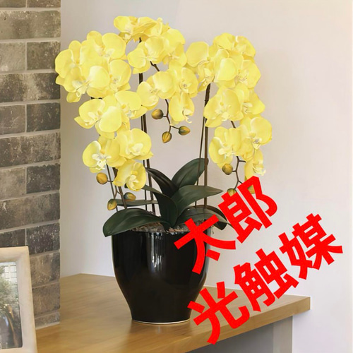 光触媒 人工観葉植物 ウォールグリーン フェイクグリーン 胡蝶蘭