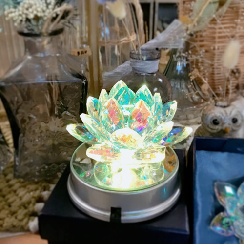 彩り2025 AURORA LOTUS・虹色に輝くオーロラクリスタル