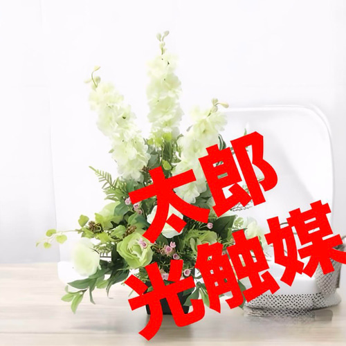 光触媒　人工観葉植物　ウォールグリーン　フェイクグリーン　ホワイトライン 光触媒 人工観葉植物 ウォールグリーン フェイクグリーン ホワイト