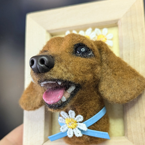 展示品【✨わくわく枠わんこ✨】ダックス【顔幅3.3cm】羊毛
