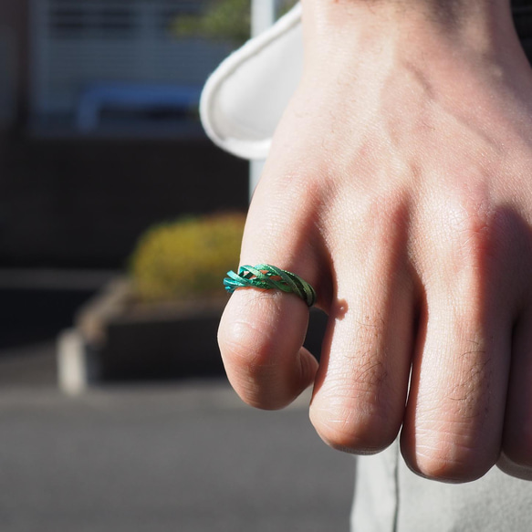 イヤーカフにもなるリング 「巡る」 純チタン製 また