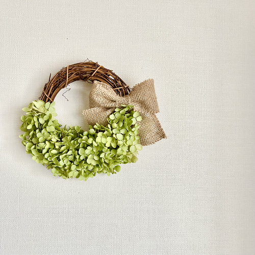 アナベルのハーフリース ✿ サイズアップ可能 ドライフラワー リース