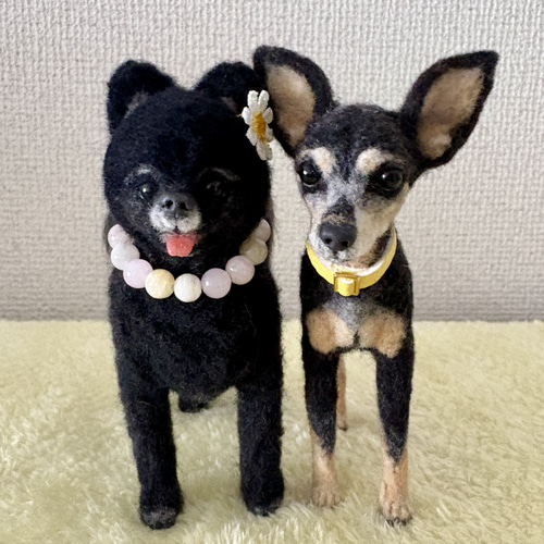 ミニピンオーダー専用 】小さなリアル ミニピン 手乗り 羊毛フェルト犬