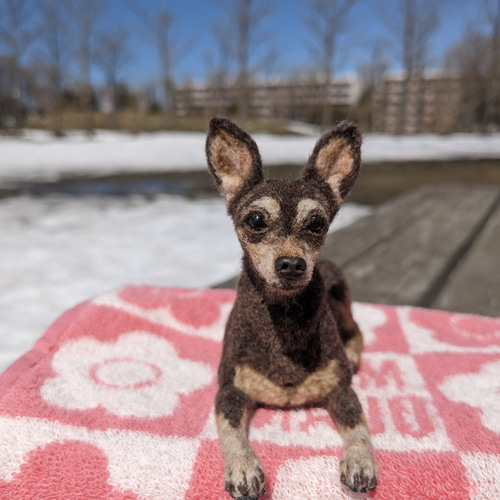 Yahoo!オークション - ミニチュア羊毛フェルト犬【6.8cmの