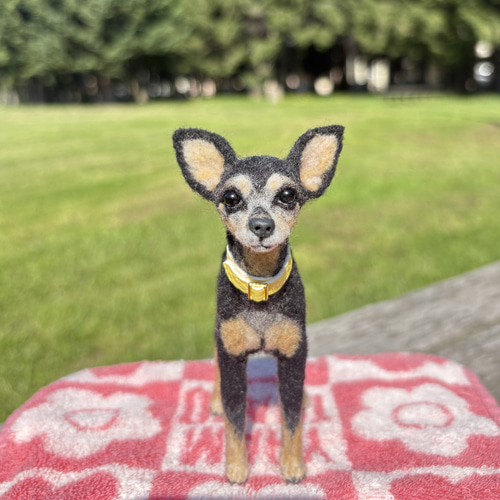 ミニピンオーダー専用 】小さなリアル ミニピン 手乗り 羊毛フェルト犬