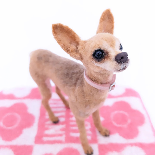 専用] 羊毛フェルト ミニチュアピンシャー 一点物 作家 うちの子