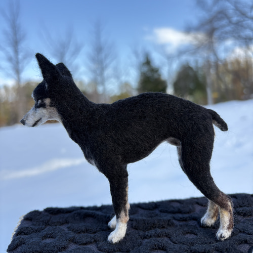 ミニピンオーダー専用 】小さなリアル ミニピン 手乗り 羊毛フェルト犬