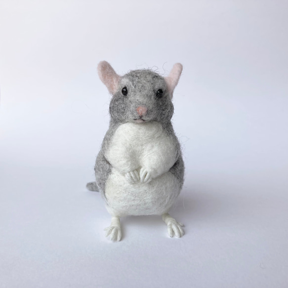 100％本物保証！ 羊毛フェルト チンチラ 羊毛フェルト りすすのす 通販｜Creema 羊毛フェルト