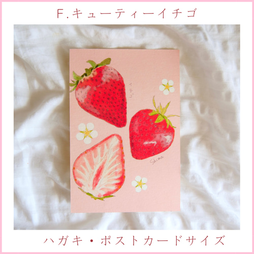 F.キューティーイチゴ【ポストカード】 メッセージカード ハガキ