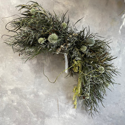 三日月型ドライフラワー壁掛け 1枚目の画像