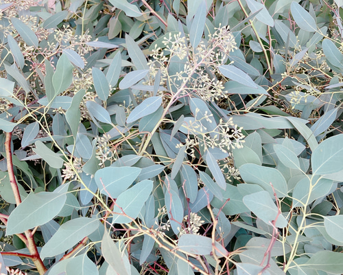 54cb5a37649b0992c3ba8c981c671d