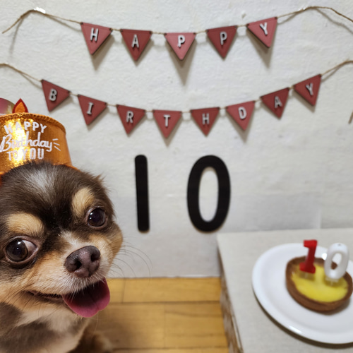 送料無料】 ガーランド バースデー 飾り 誕生日 壁飾り お好きな文字