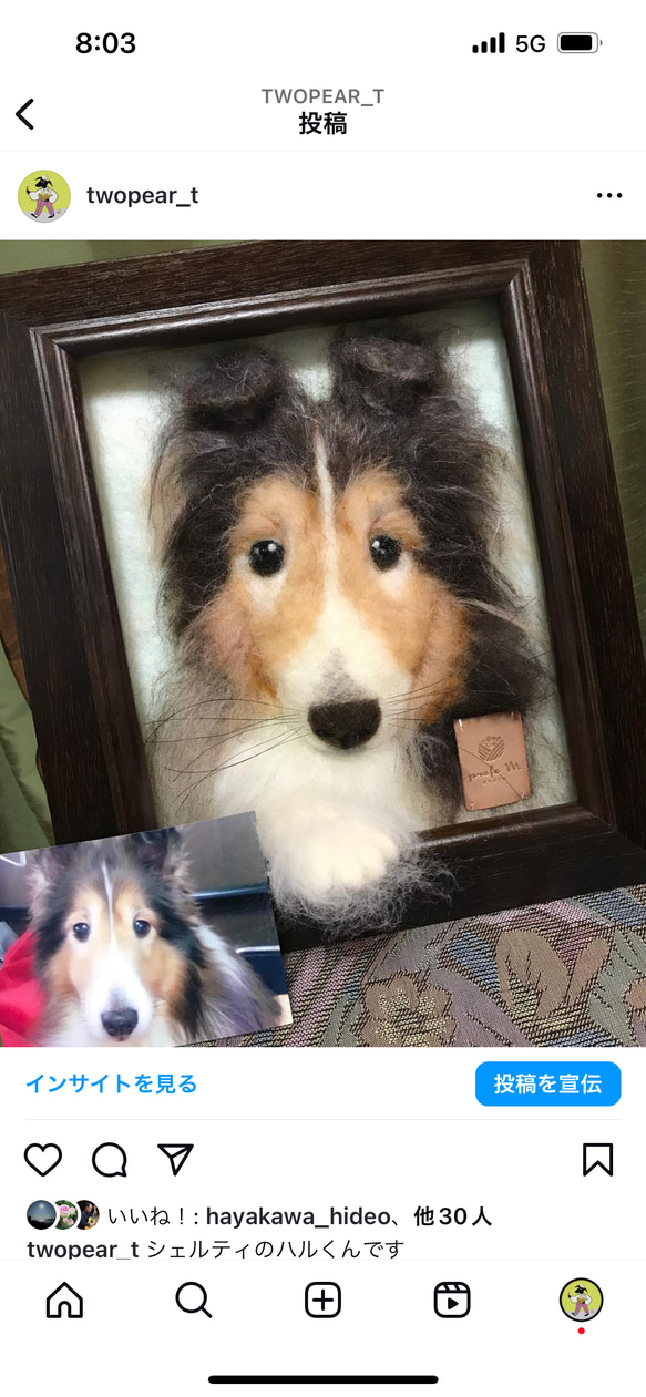 受注制作|おててにぎにぎペットそっくり羊毛フェルトアートフレーム(M) 