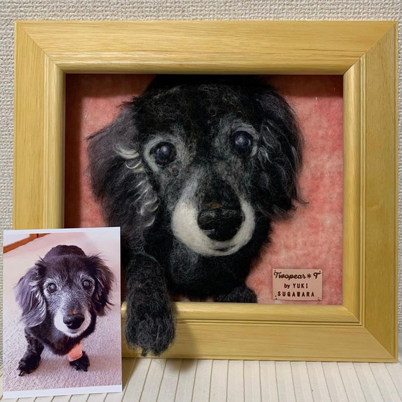 受注制作|おててにぎにぎペットそっくり羊毛フェルトアートフレーム(M) 