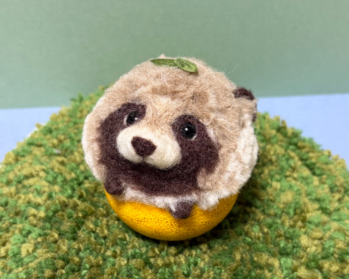 入ってます もふもふ柚子タヌキ 【羊毛フェルト人形】①/ 羊毛フェルト