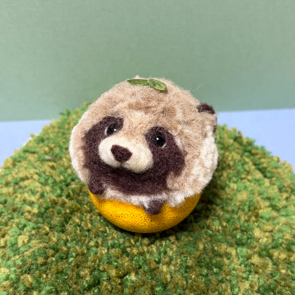 入ってます もふもふ柚子タヌキ 【羊毛フェルト人形】①/ 羊毛フェルト