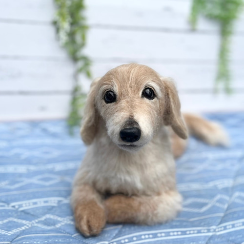 オーダー 羊毛フェルト犬♡世界でたった一つ♡ダックスフンド ペット