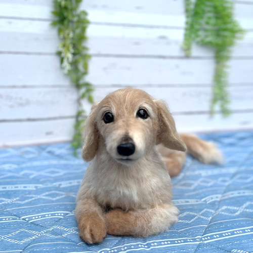 オーダー 羊毛フェルト犬♡世界でたった一つ♡ダックスフンド ペット