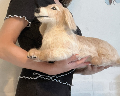 4614dac911eda90302237861c16dd7