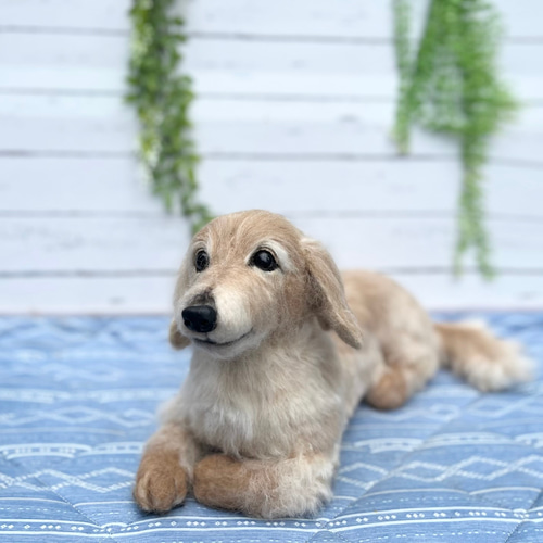 羊毛フェルト ハンドメイド【ダックス】ぬいぐるみ メモリアル リアル 世界に１つ オーダー 羊毛フェルト犬♡世界でたった一つ♡ダックスフンド ペット