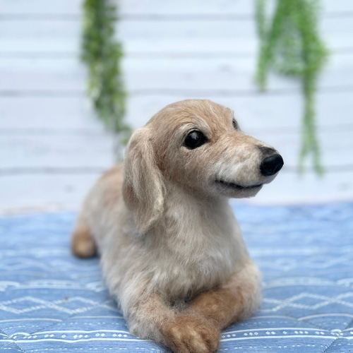 オーダー 羊毛フェルト犬♡世界でたった一つ♡ダックスフンド ペット