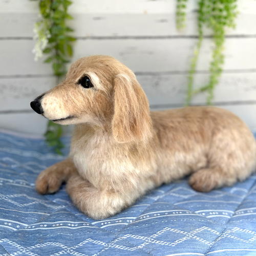 ♡おしゃれダックスオーダーページ①